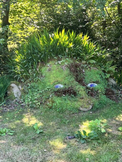 The Hive Apartment St Austell