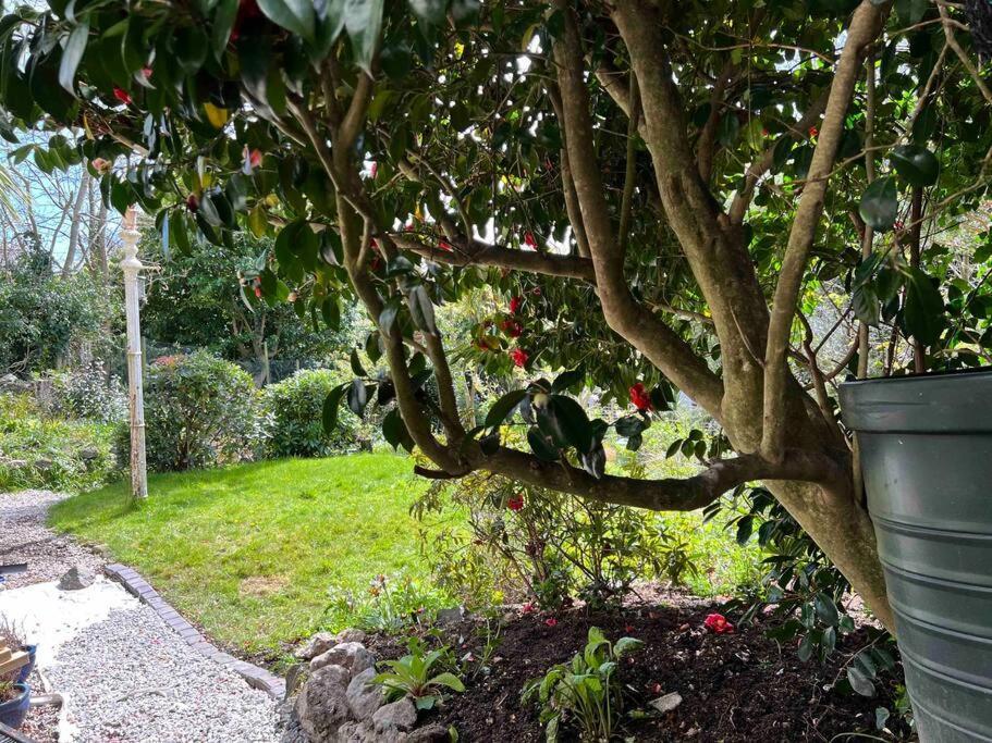 Apartment The Hive St Austell